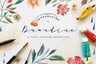 Brandine: A Feminine Script Handwritten Font for Elegant Editorial Design