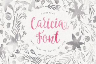 Caricia: A Gently Feminine Script Handwritten Font for Editorial Design