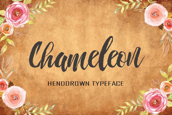 Chameleon: A Script Handwritten Font That Elevates Real Business Branding