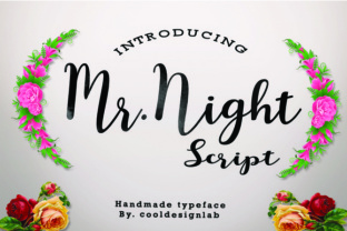 Mr. Night: A Handmade Script Typeface for Small Business Branding