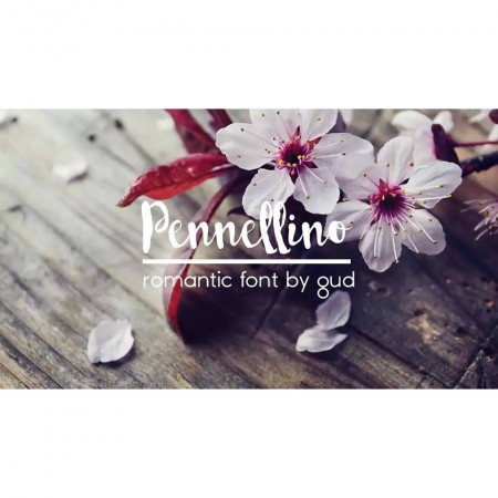 Pennellino: A Script Handwritten Font for Scroll-Stopping Visuals