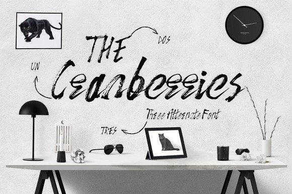 The Cranberries Script Handwritten Font
